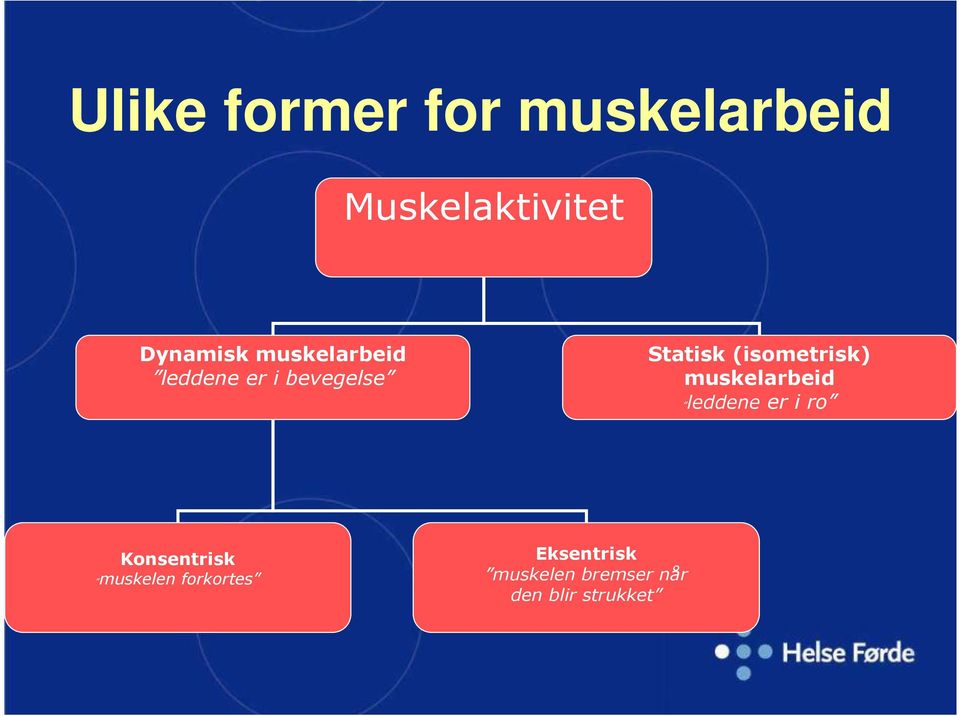 (isometrisk) muskelarbeid leddene er i ro Konsentrisk