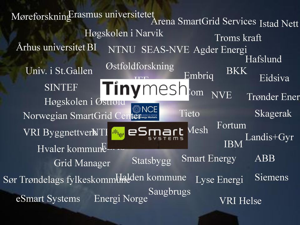 Gallen Østfoldforskning SINTEF UMB IFE Embriq BKK Eidsiva MoreCom NVE Høgskolen i Østfold Trønder Energ Norwegian SmartGrid Center Tieto