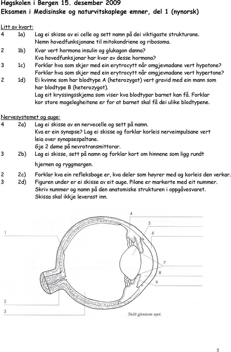 3 1c) Forklar hva som skjer med ein erytrocytt når omgjevnadane vert hypotone? Forklar hva som skjer med ein erytrocytt når omgjevnadane vert hypertone?