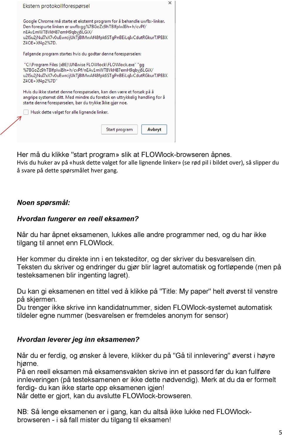 Når du har åpnet eksamenen, lukkes alle andre programmer ned, og du har ikke tilgang til annet enn FLOWlock. Her kommer du direkte inn i en teksteditor, og der skriver du besvarelsen din.