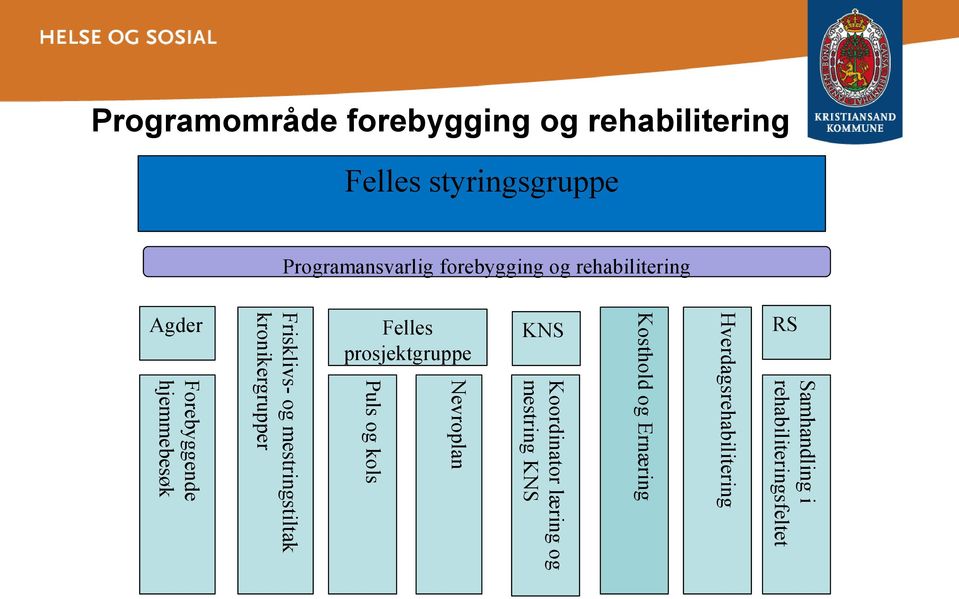 mestringstiltak kronikergrupper Felles prosjektgruppe Puls og kols Nevroplan KNS