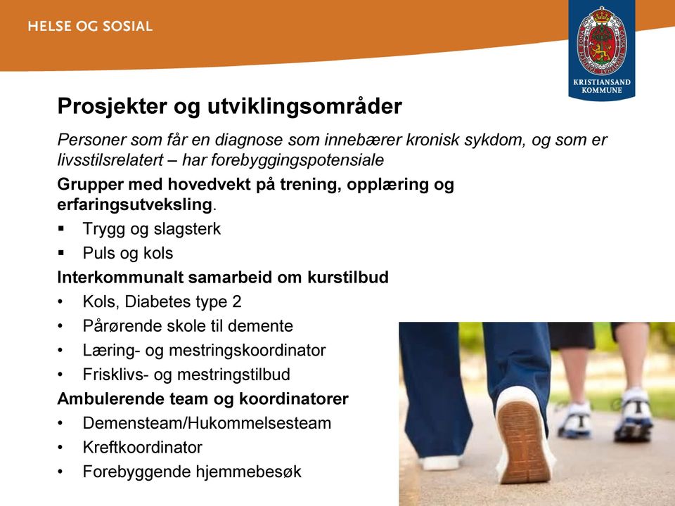 Trygg og slagsterk Puls og kols Interkommunalt samarbeid om kurstilbud Kols, Diabetes type 2 Pårørende skole til demente