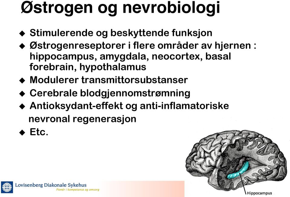 hjernen : hippocampus, amygdala, neocortex, basal forebrain, hypothalamus u
