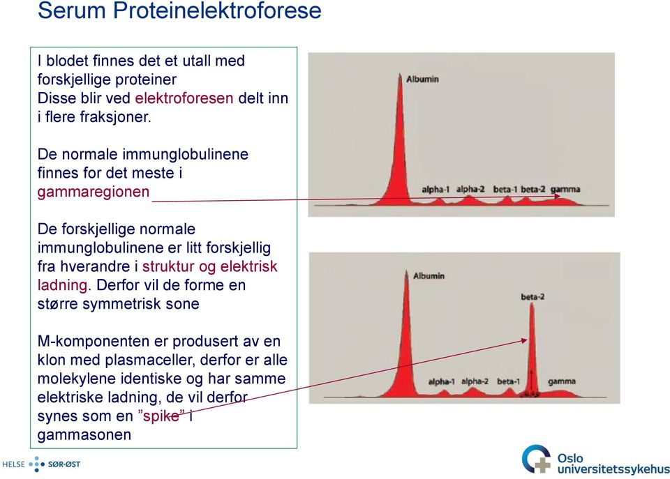 De normale immunglobulinene finnes for det meste i gammaregionen De forskjellige normale immunglobulinene er litt forskjellig fra