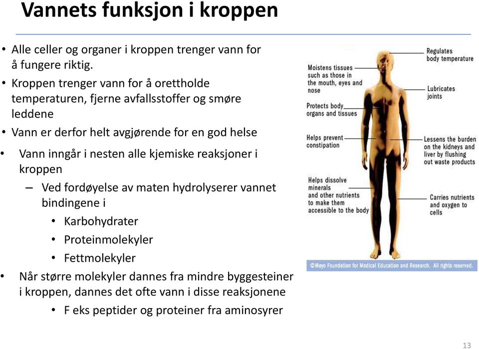 helse Vann inngår i nesten alle kjemiske reaksjoner i kroppen Ved fordøyelse av maten hydrolyserer vannet bindingene i Karbohydrater