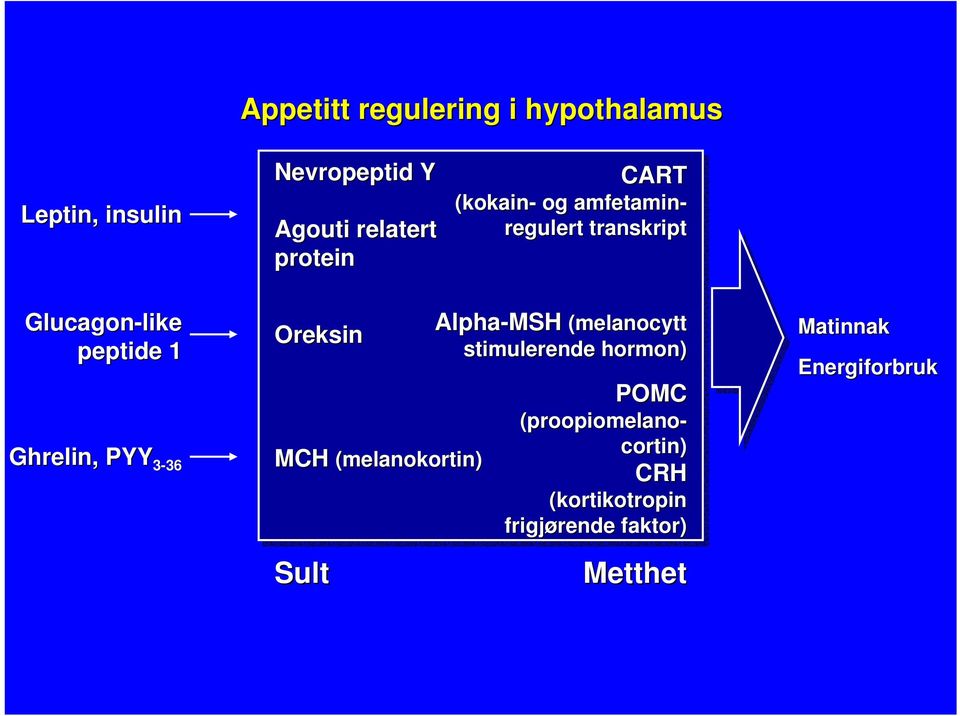 Alpha-MSH (melanocytt stimulerende hormon) CART (kokain- og amfetamin- regulert transkript