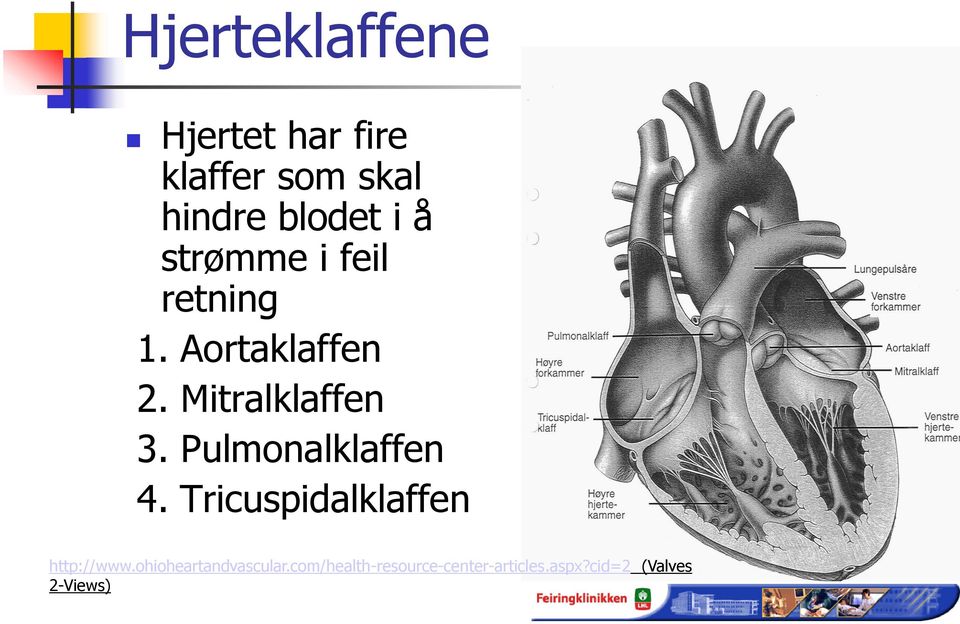 Pulmonalklaffen 4. Tricuspidalklaffen http://www.