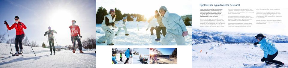 Ådneram har 4 skiheiser, blant annet en populær fjellheis, tallerkenheis og en gratis barneheis like ved hovedheisen. Her er det nedfarter for alle nivåer, tilrettelagt for både snowboard og alpint.