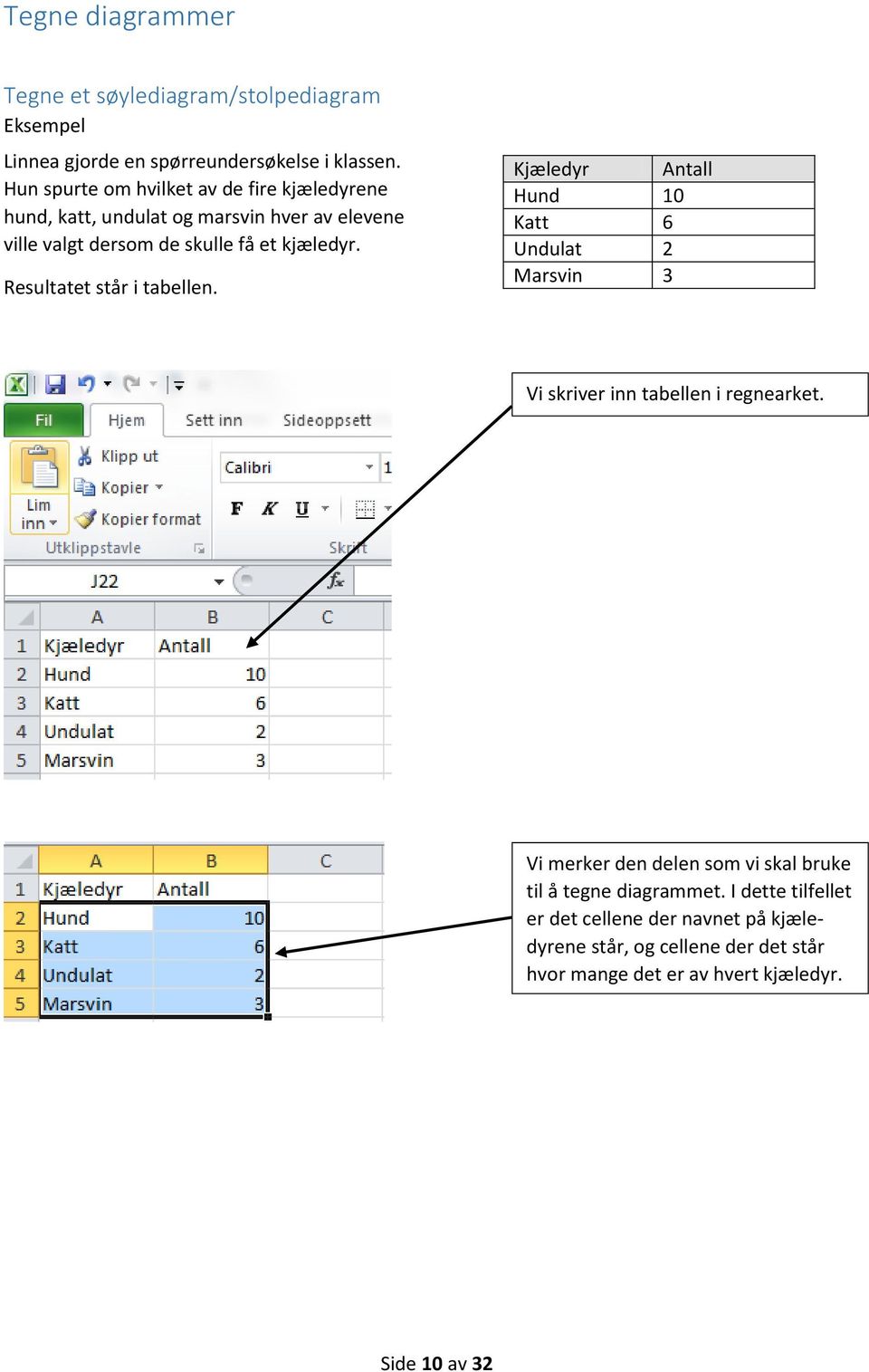 et kjæledyr. Resultatet står i tabellen. Kjæledyr Antall Hund 10 Katt 6 Undulat 2 Marsvin 3 Vi skriver inn tabellen i regnearket.