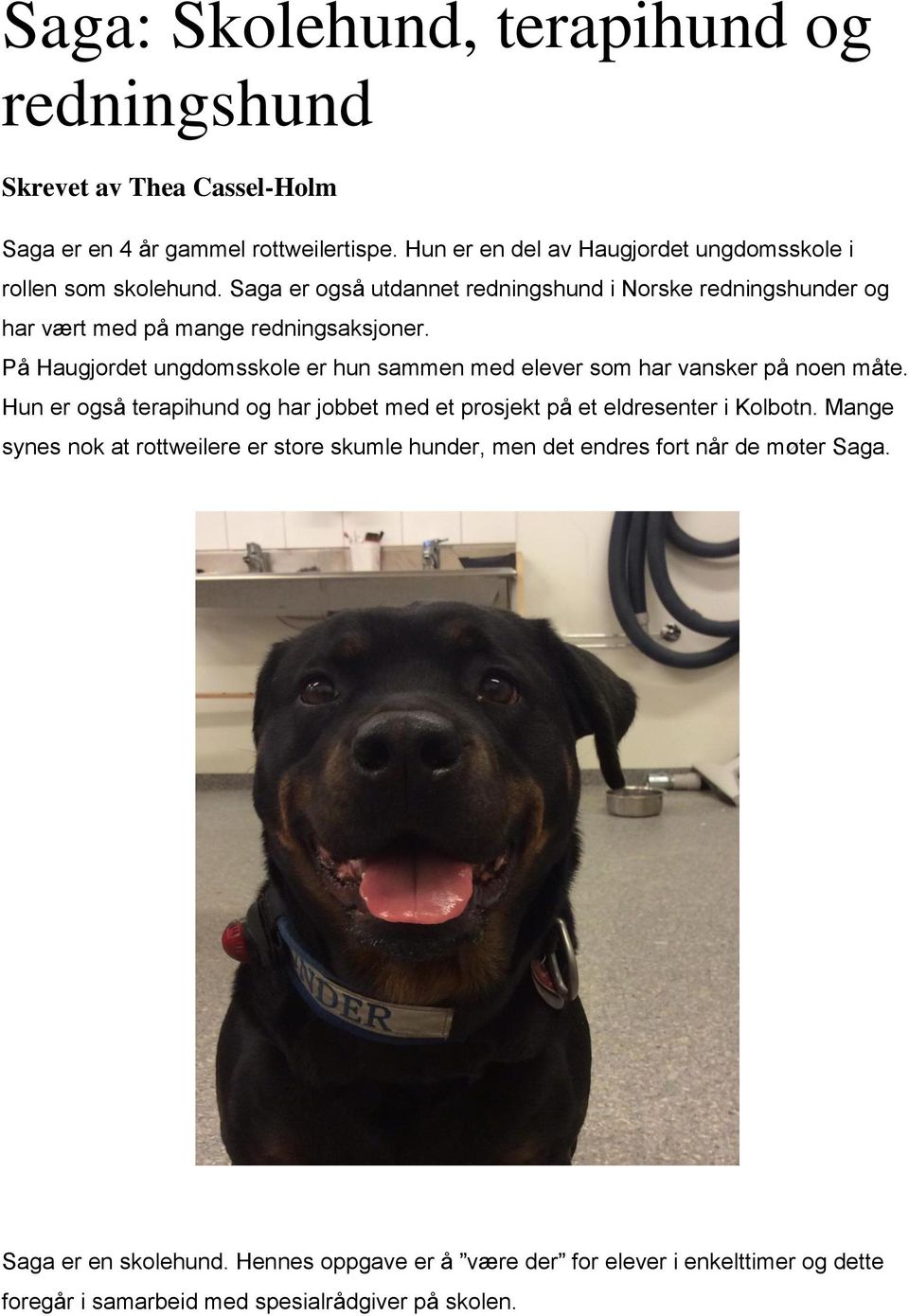 På Haugjordet ungdomsskole er hun sammen med elever som har vansker på noen måte. Hun er også terapihund og har jobbet med et prosjekt på et eldresenter i Kolbotn.