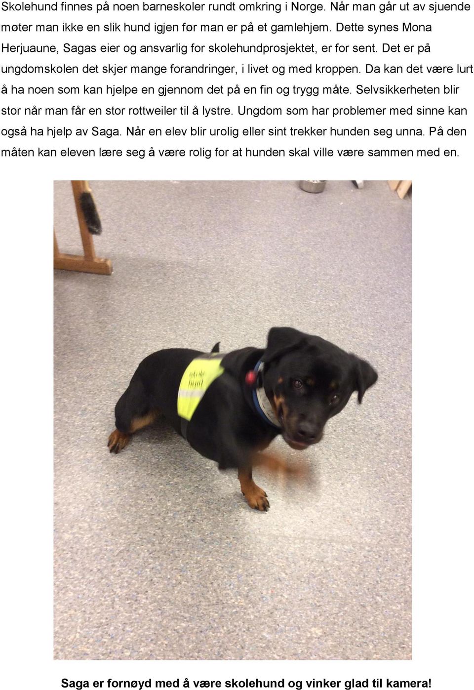 Da kan det være lurt å ha noen som kan hjelpe en gjennom det på en fin og trygg måte. Selvsikkerheten blir stor når man får en stor rottweiler til å lystre.