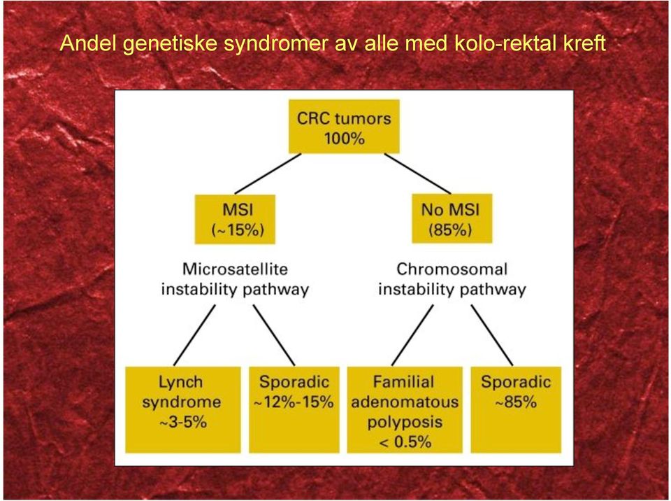 syndromer av