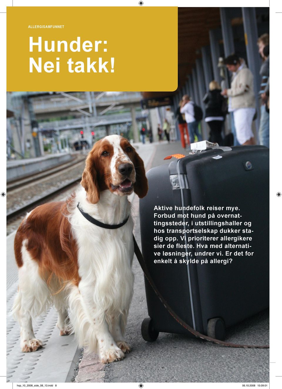 Hunder: Nei takk! Aktive hundefolk reiser mye. Forbud mot hund på  overnattingssteder, i utstillingshaller og - PDF Free Download