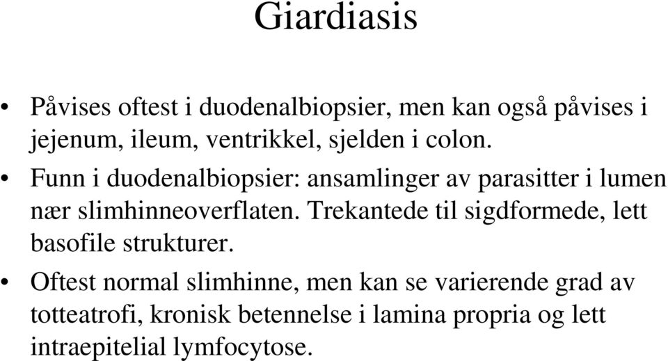 Funn i duodenalbiopsier: ansamlinger av parasitter i lumen nær slimhinneoverflaten.