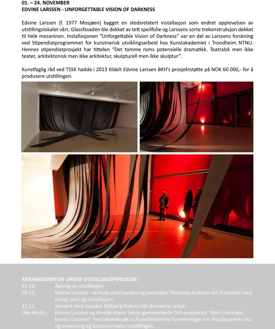 Installasjonen Unforgettable Vision of Darkness var en del av Larssens forskning ved Stipendiatprogrammet for kunstnerisk utviklingsarbeid hos Kunstakademiet i Trondheim NTNU.