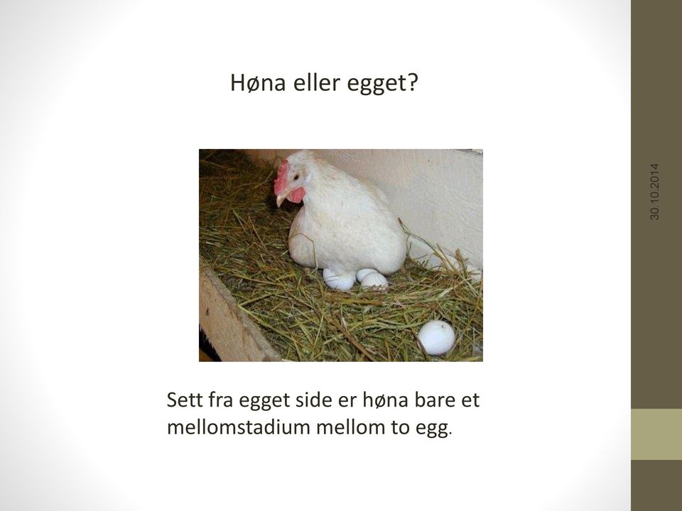 er høna bare et