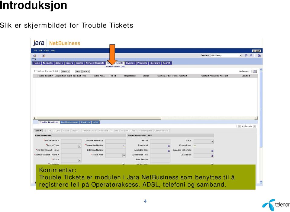 Jara NetBusiness som benyttes til å registrere