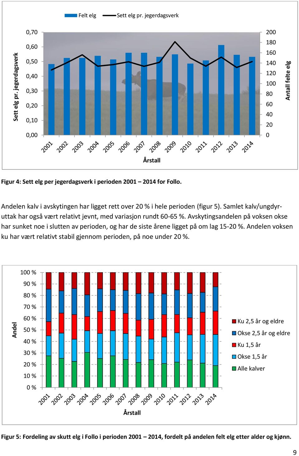 Andelen kalv i avskytingen har ligget rett over 20 % i hele perioden (figur 5). Samlet kalv/ungdyruttak har også vært relativt jevnt, med variasjon rundt 60-65 %.