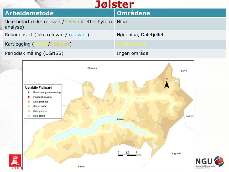 analyse) Jølster Nipa