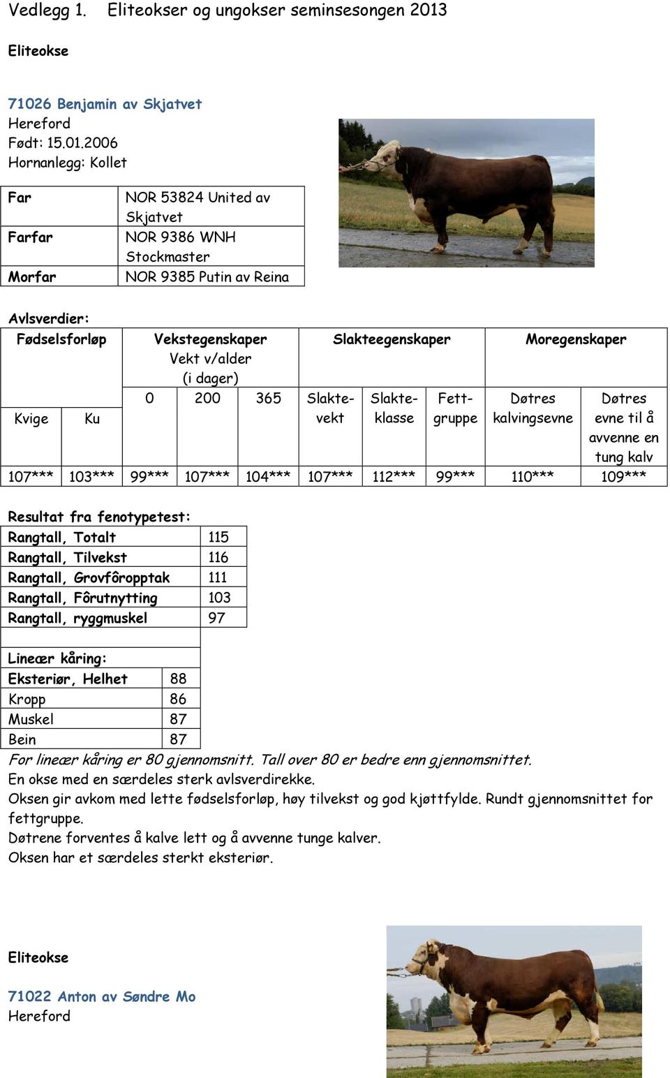 2006 Hornanlegg: Kollet Far Farfar Morfar NOR 53824 United av Skjatvet NOR 9386 WNH Stockmaster NOR 9385 Putin av Reina Avlsverdier: Fødselsforløp Kvige Ku Slakteegenskaper Vekstegenskaper Vekt