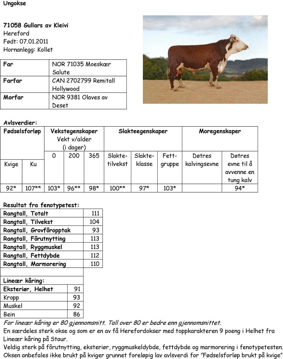 Slakteegenskaper 0 200 365 Slaktetilvekst Slakteklasse Fettgruppe Moregenskaper Døtres kalvingsevne Døtres evne til å avvenne en tung kalv 92* 107** 103* 96** 98* 100** 97* 103* 94* Resultat fra