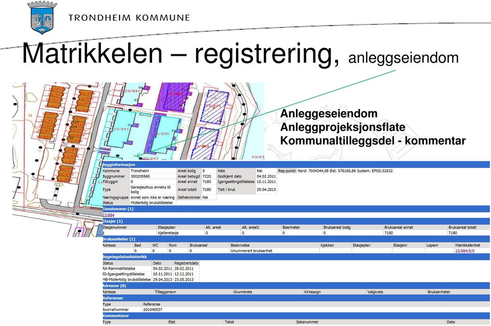 Anleggprojeksjonsflate