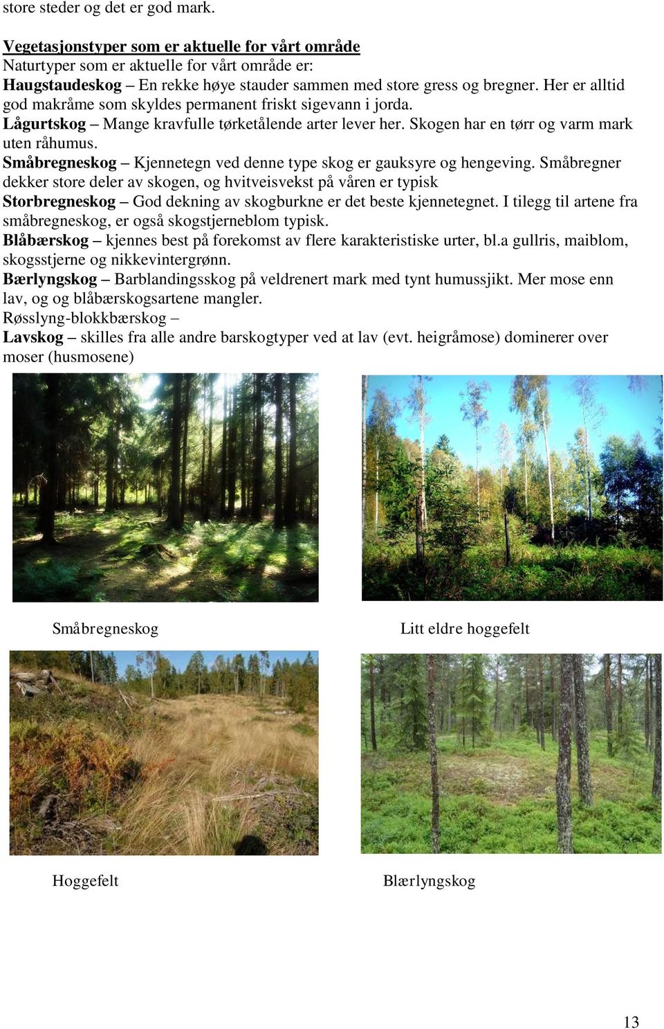 Småbregneskog Kjennetegn ved denne type skog er gauksyre og hengeving.