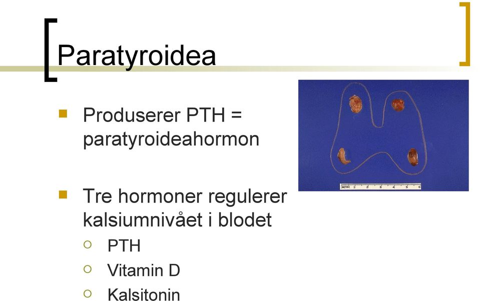 hormoner regulerer