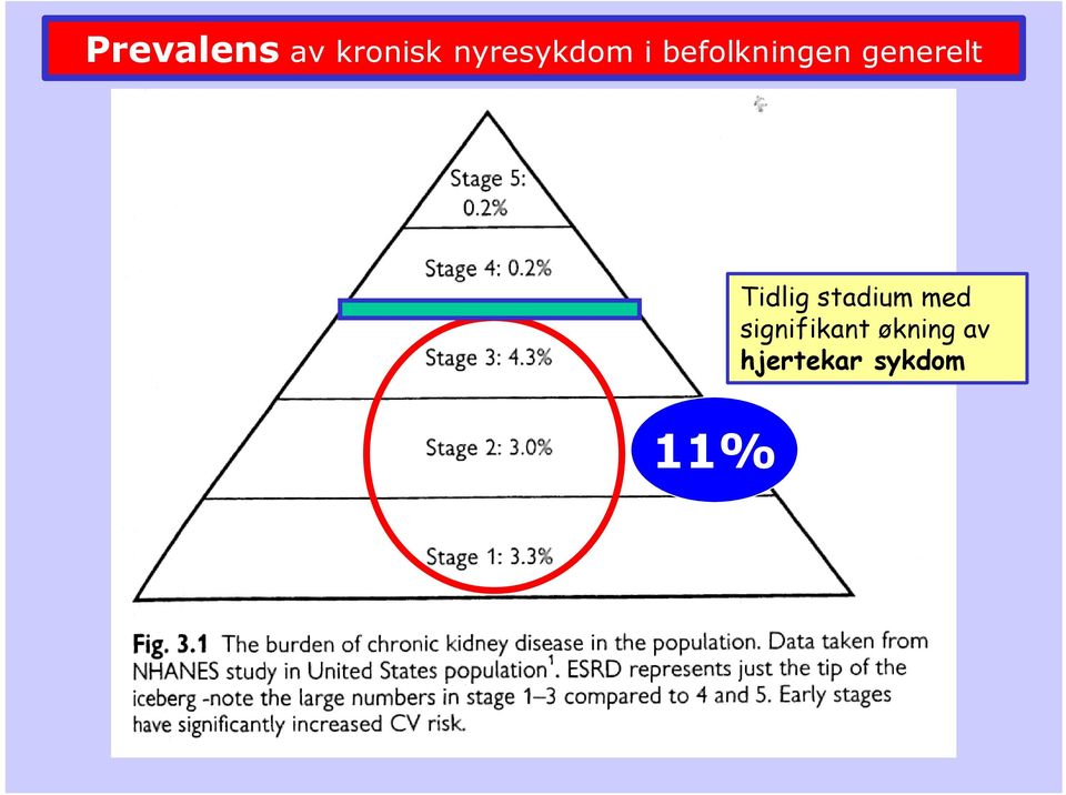 generelt 11% Tidlig stadium