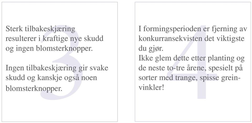 I formingsperioden er fjerning av konkurransekvisten det viktigste du gjør.