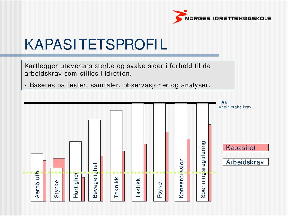 - Baseres på tester, samtaler, observasjoner og analyser. TAK Angir maks krav.