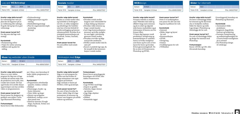 Posisjonering online Visjon for online satsning Målbare mål og plan for måling Flerkanalstrategi Målgruppeanalyse og prioritering Markedsføringsstrategi Plan for organisatorisk implementering Konsept