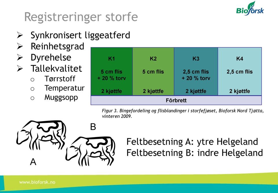 20 % torv 2 kjøttfe K4 2,5 cm flis 2 kjøttfe A B Figur 3.