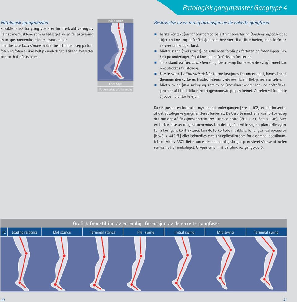Beskrivelse av en mulig formasjon av de enkelte gangfaser Første kontakt (initial contact) og belastningsoverføring (loading response): det skjer en kne- og hoftefleksjon som bevirker til at ikke