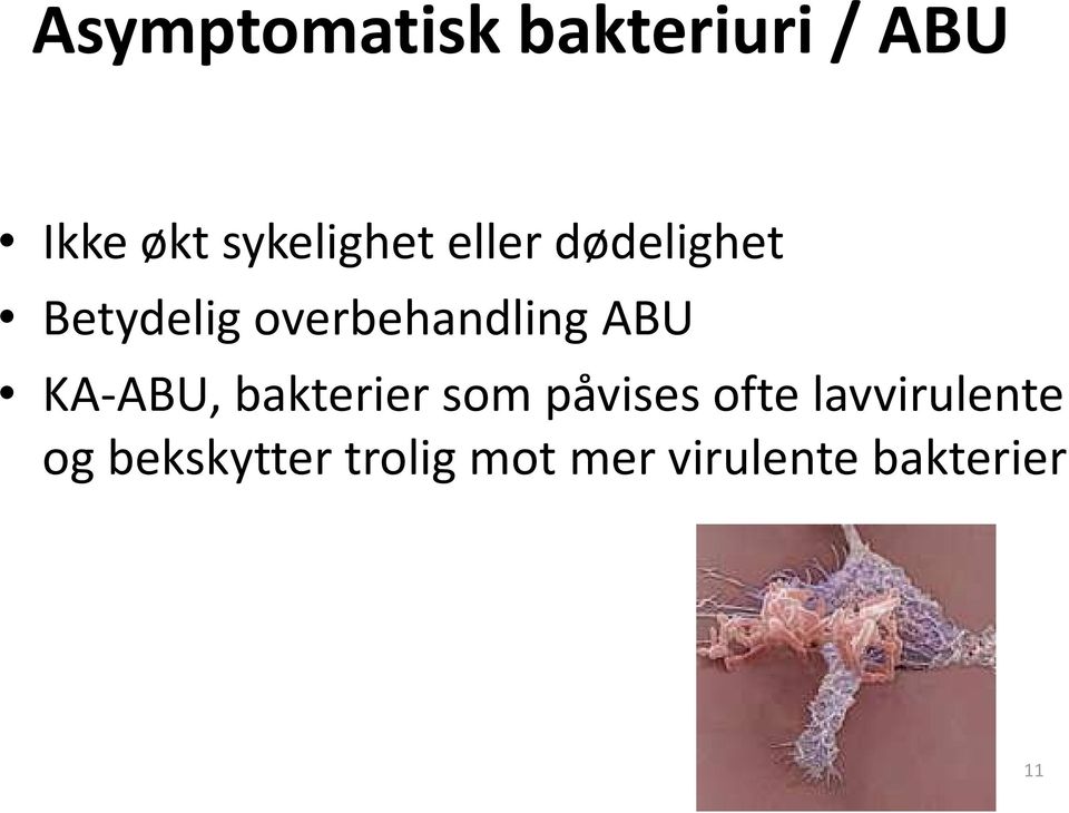overbehandling ABU KA-ABU, bakterier som påvises