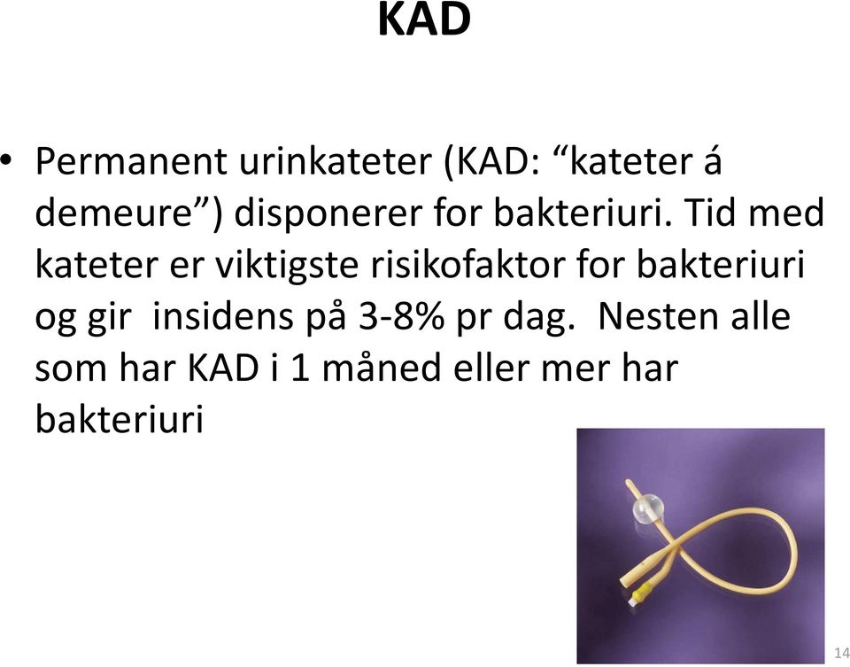 Tid med kateter er viktigste risikofaktor for bakteriuri