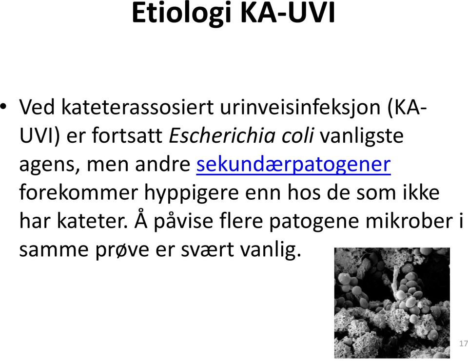 sekundærpatogener forekommer hyppigere enn hos de som ikke har