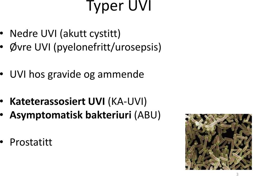 gravide og ammende Kateterassosiert UVI