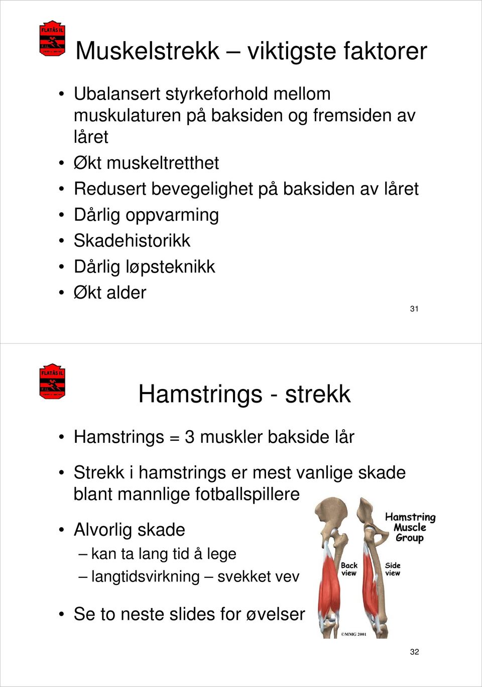 alder 31 Hamstrings - strekk Hamstrings = 3 muskler bakside lår Strekk i hamstrings er mest vanlige skade blant