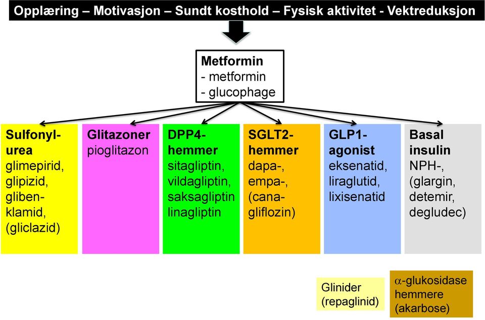 vildagliptin, saksagliptin linagliptin SGLT2- hemmer dapa-, empa-, (canagliflozin) GLP1- agonist eksenatid,