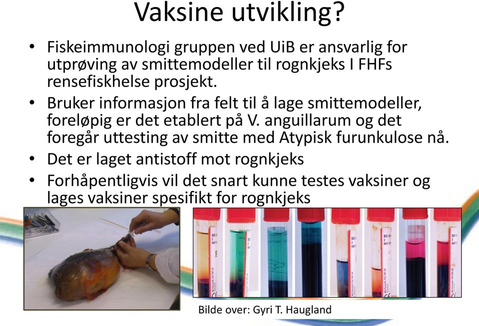 prosjekt. Bruker informasjon fra felt til å lage smittemodeller, foreløpig er det etablert på V.