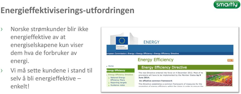 energiselskapene kun viser dem hva de forbruker av