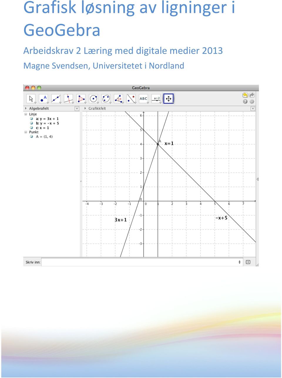 med digitale medier 2013 Magne