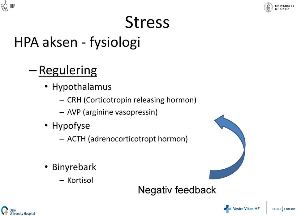 (arginine vasopressin) Hypofyse ACTH