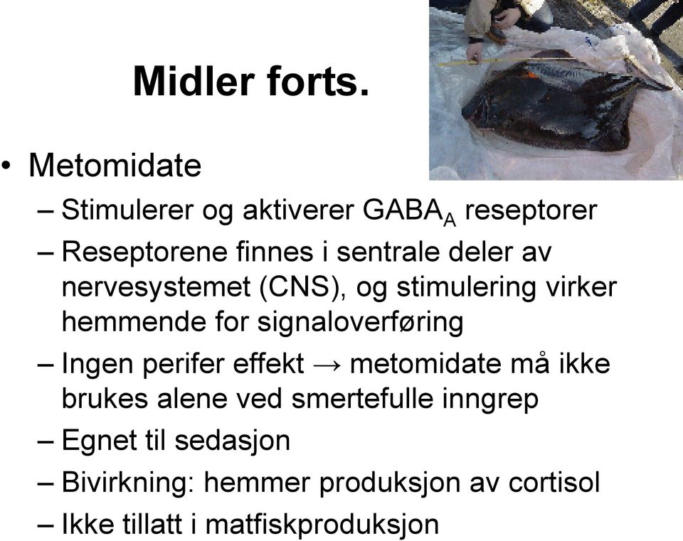 nervesystemet (CNS), og stimulering virker hemmende for signaloverføring Ingen perifer