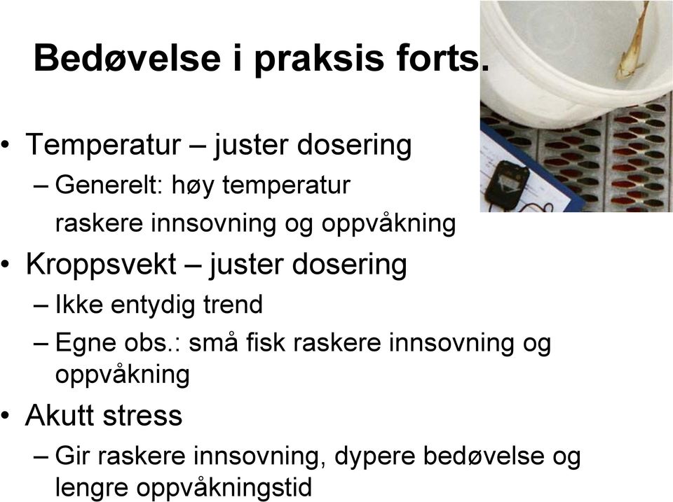 og oppvåkning Kroppsvekt juster dosering Ikke entydig trend Egne obs.