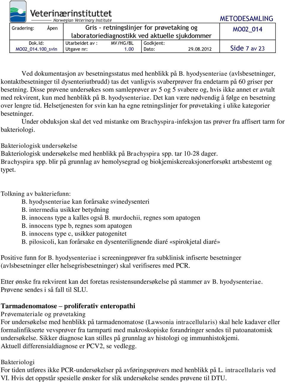 Disse prøvene undersøkes som samleprøver av 5 og 5 svabere og, hvis ikke annet er avtalt med rekvirent, kun med henblikk på B. hyodysenteriae.