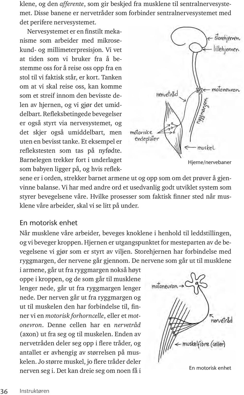 Vi vet at tiden som vi bruker fra å bestemme oss for å reise oss opp fra en stol til vi faktisk står, er kort.