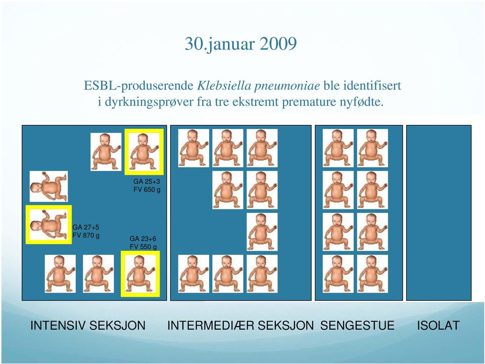 premature nyfødte.