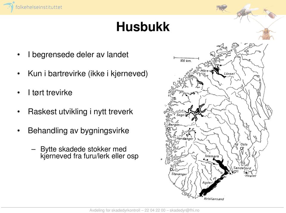 Raskest utvikling i nytt treverk Behandling av